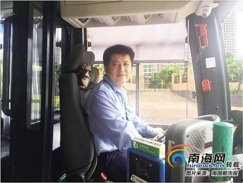 娱乐吃瓜酱男友追公交车,娱乐吃瓜酱现场直播浪漫一幕