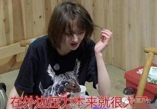 娱乐吃瓜酱过年视频下载,盘点过年期间的精彩瞬间
