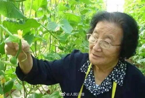 恐丑的娱乐吃瓜人的微博,娱乐八卦背后的真相与笑料