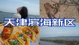 娱乐吃瓜酱自驾游,跟随吃瓜酱畅游天下