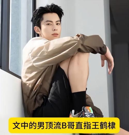娱乐圈吃瓜爆料 王鹤棣,揭秘背后的真相与争议