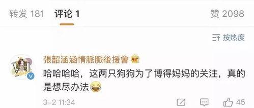 娱乐吃瓜2022年,笑料百出，泪点满满