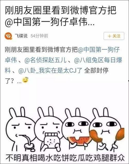 娱乐吃瓜 大事件小说,吃瓜大事件背后的秘密