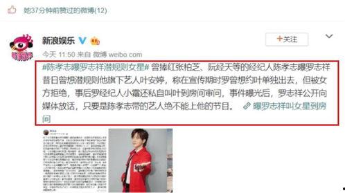 娱乐圈吃瓜大佬小说,揭秘吃瓜大佬的瓜田传奇