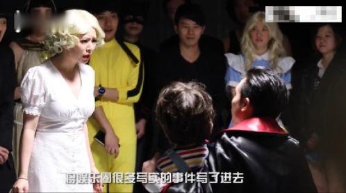 娱乐圈吃瓜视频教程下载,轻松掌握追星乐趣，解锁视频下载秘籍