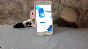 娱乐吃瓜酱监控,吃瓜酱独家监控揭秘