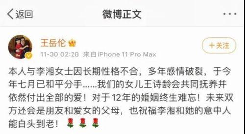 娱乐圈吃瓜总结报告