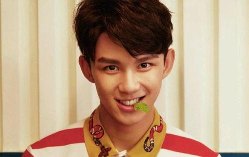 三石弟弟吃瓜娱乐圈文