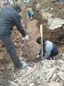 娱乐吃瓜酱扎钢筋,揭秘网红扎钢筋背后的故事