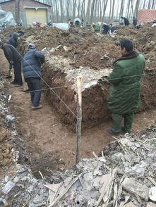 娱乐吃瓜酱扎钢筋,揭秘网红扎钢筋背后的故事